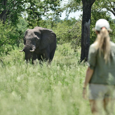 Beyond the Rapids: Other Adventures to Experience at Victoria Falls