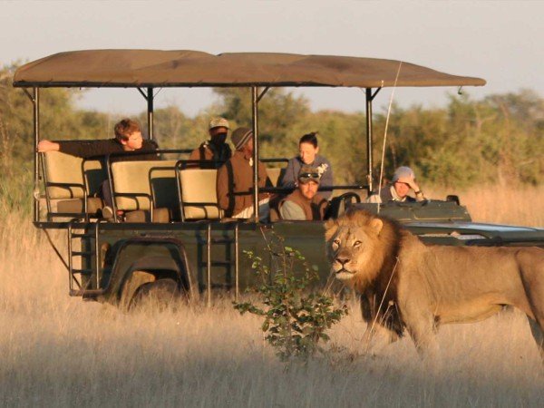 Zambezi National Park Game Drive | Big 4 Safari Right Next to Victoria Falls