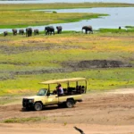 Chobe day trip