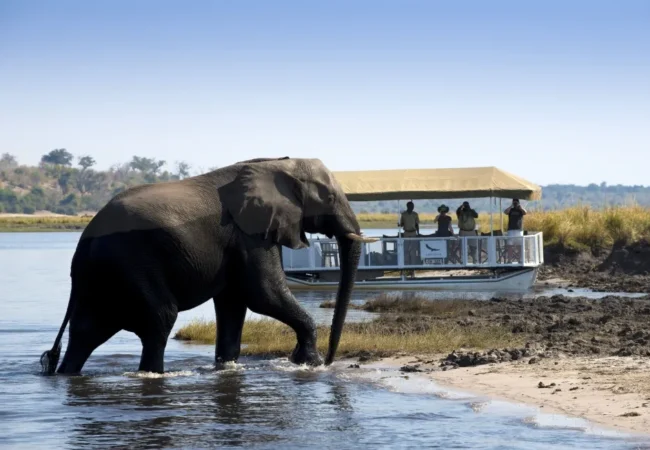 expeditions chobe 186