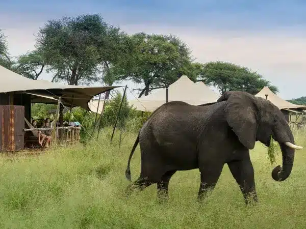 hwange national park1 600