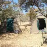 safaricampsitesafarichobenationalparkbotswana