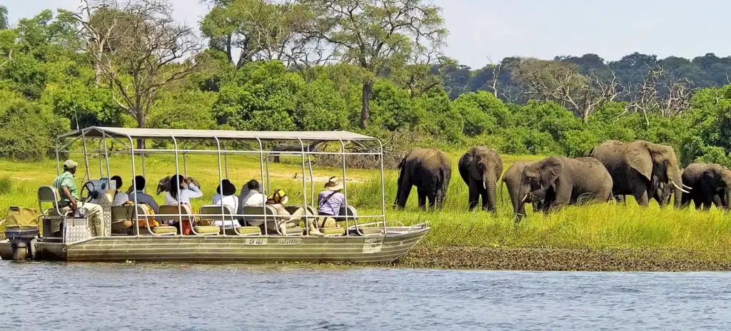 Botswana victoria falls chobe day trip