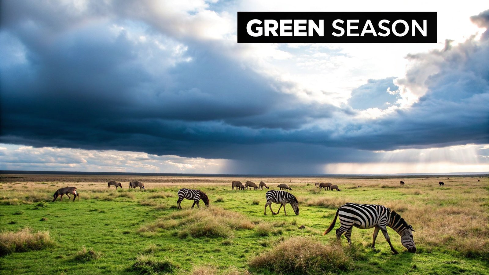 Green Season (November to April)