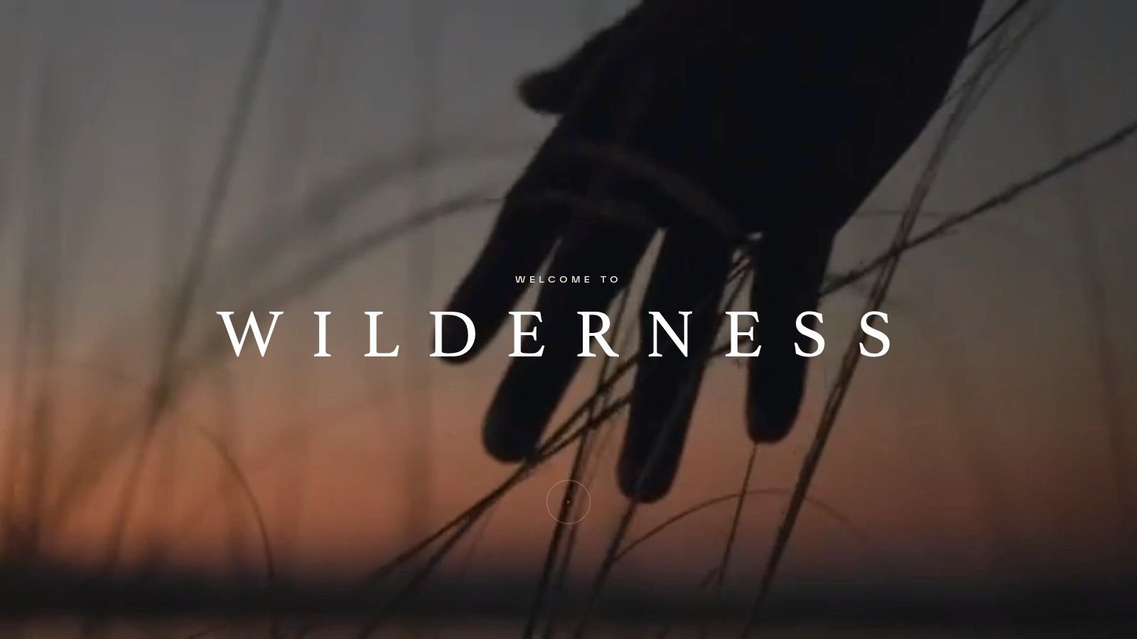 Wilderness Safaris