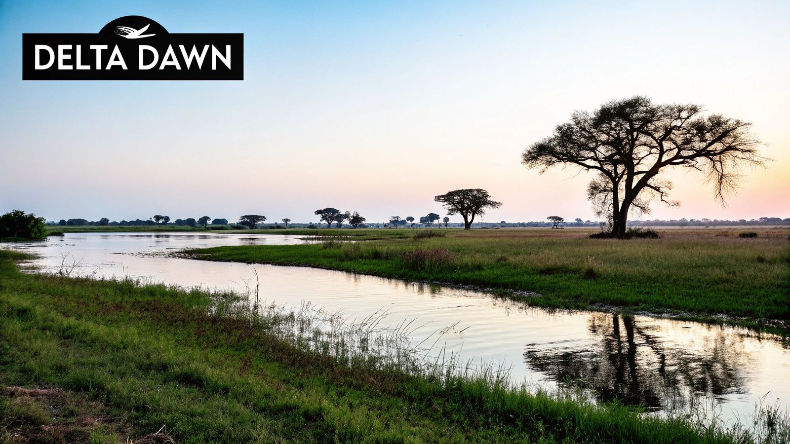 Okavango Delta landscape