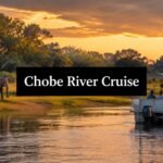 chobe river cruise safari boat
