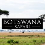 Essential Botswana Safari Tips for Your Adventure featured image 6b19c0b8 b791 40b5 bada 15e0377bf19c
