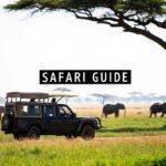 African Safari Guide: Your Path to a Wild Adventure featured image 893d1c5d 05fb 477f b557 c32082d51c74