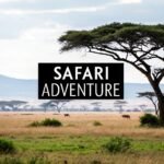 Safari in Africa: Unforgettable Wildlife Journeys African Safari FAQs