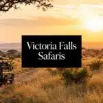 safaris from victoria falls safari tour