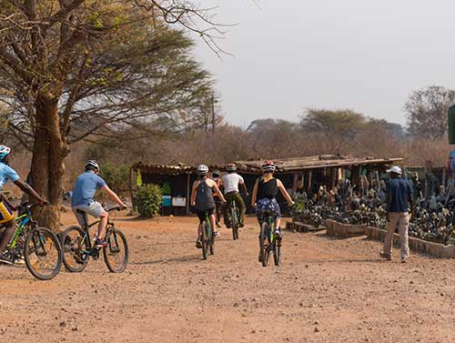 victoria falls bike tour market