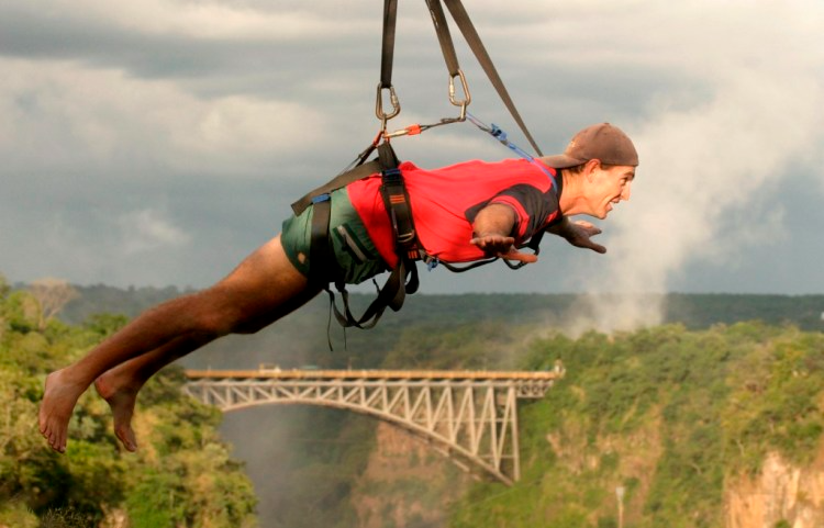 wh flying fox 1