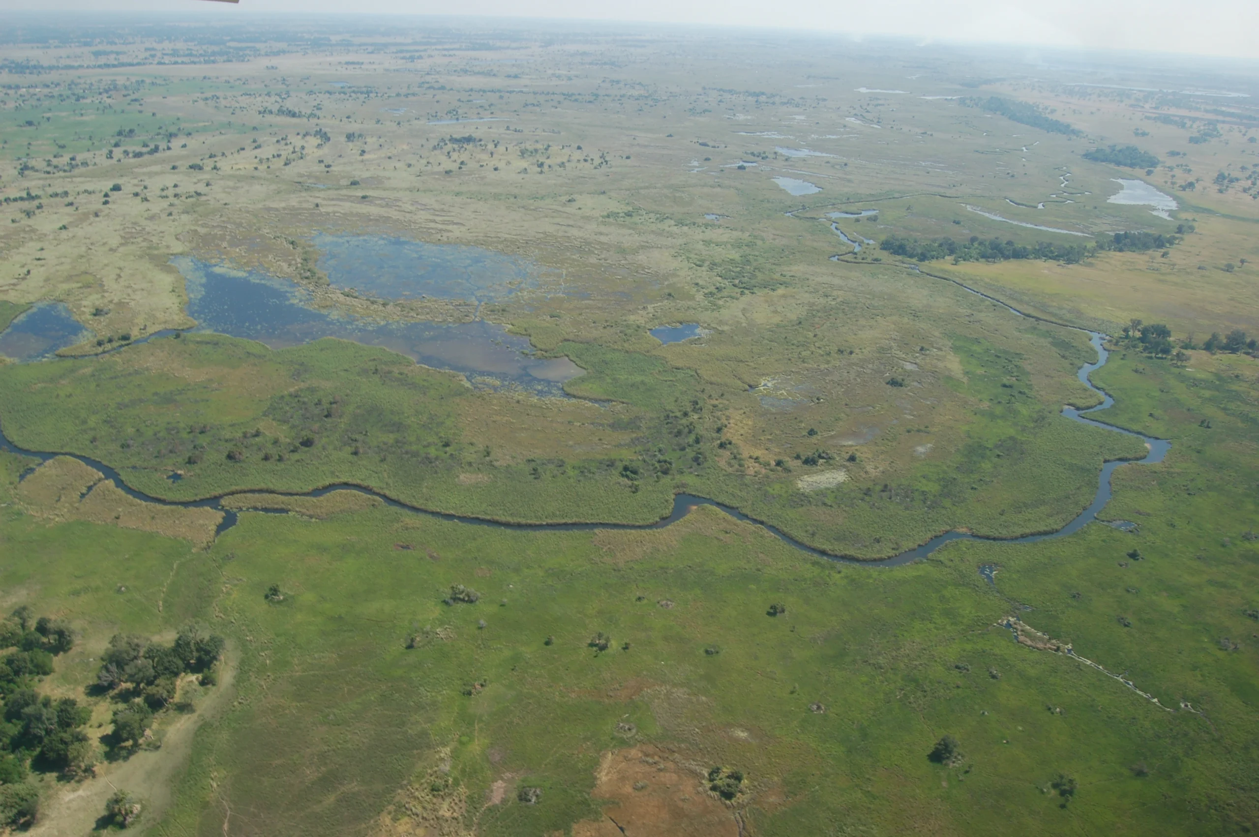 Okavango Delta Safari: A First-Timer's Guide Aerial view of the braided water channels of the Okavango Delta in Botswana
