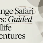 Hwange Safari Tours: Guided Wildlife Adventures