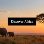 african tourism attractions elephants sunset