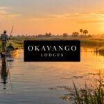 best okavango delta lodges mokoro safari
