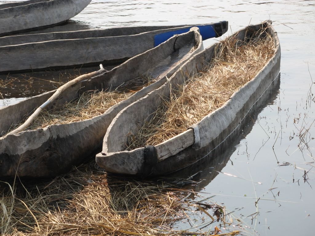 Okavango Delta Safari: A First-Timer's Guide A traditional mokoro dugout canoe on a channel in the Okavango Delta