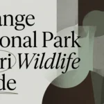 Hwange National Park Safari: Wildlife & Best Areas