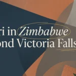 Safari in Zimbabwe, Africa: Where to Go