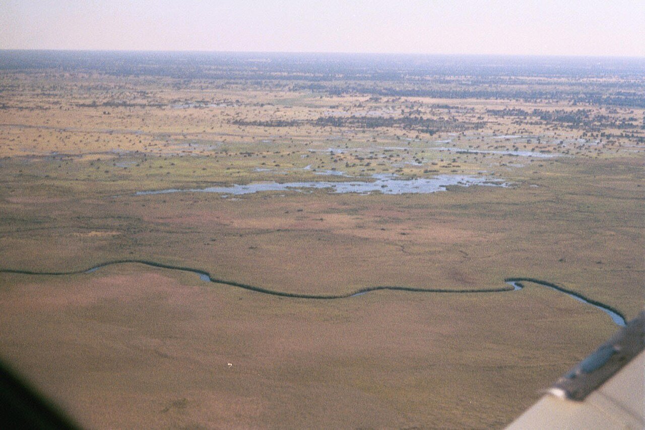 Botswana Specials: Exclusive Safari Deals for 2026 Aerial view of the Okavango Delta waterways in Botswana