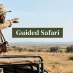guided safari tours safari guide