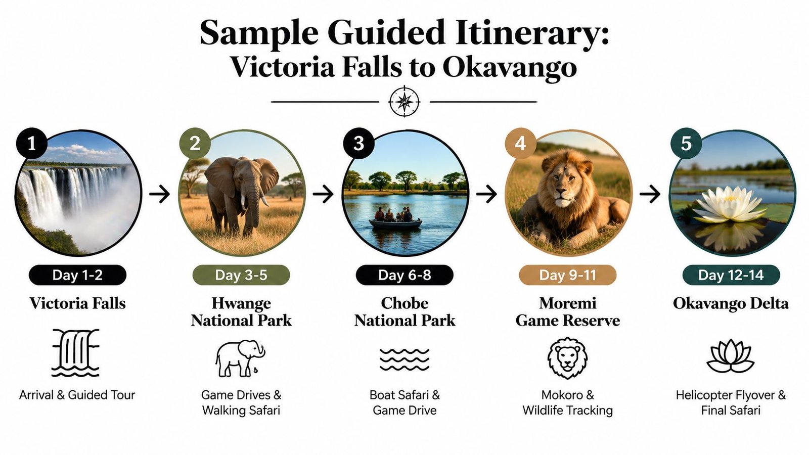A 14-day guided safari tour itinerary starting at Victoria Falls and ending in the Okavango Delta.