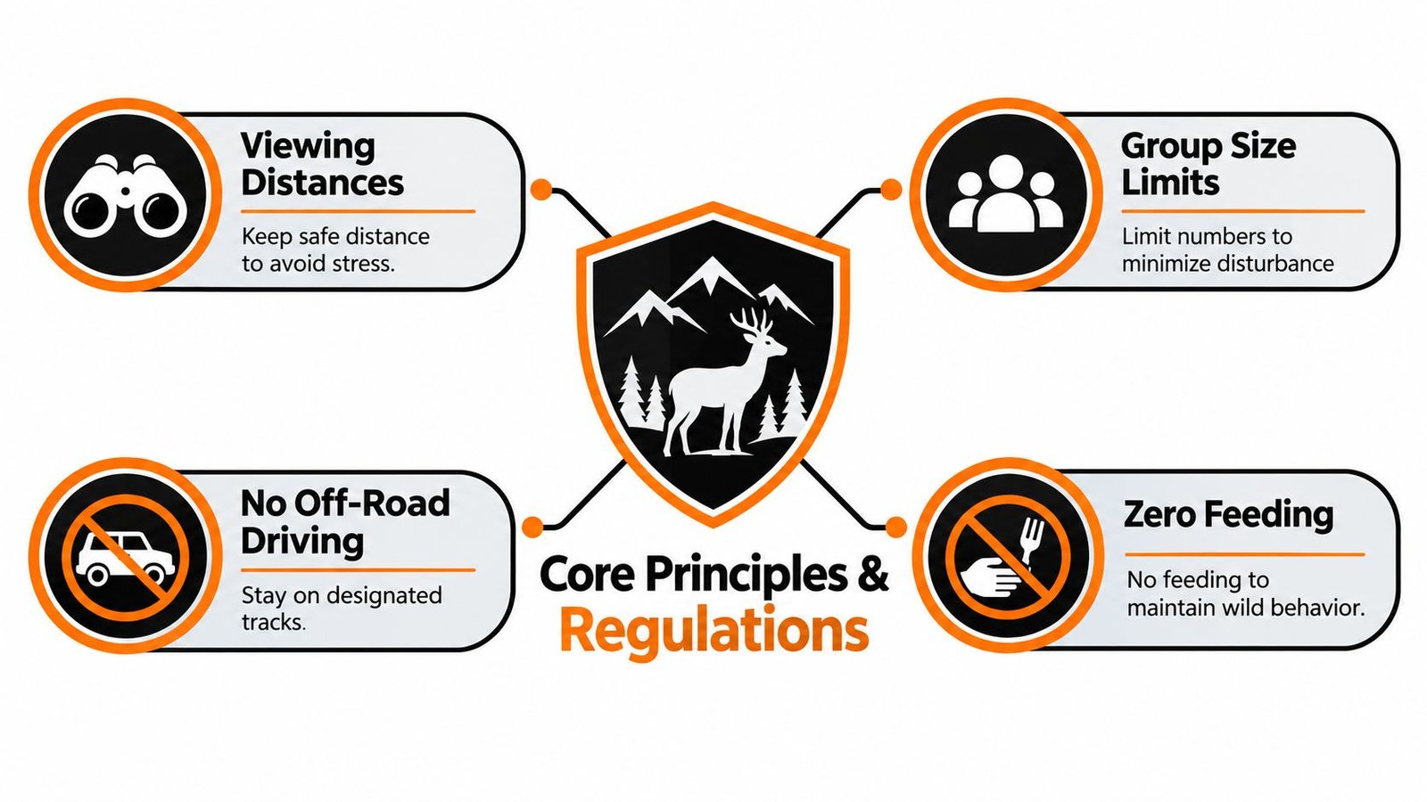 An infographic titled Core Principles and Regulations for wildlife tourism, featuring icons for viewing distances, group sizes, driving, and feeding.