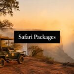 victoria falls safari packages safari jeep