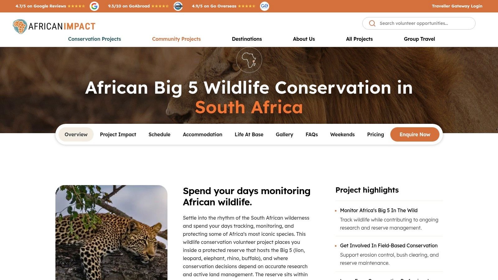 African Impact African Big 5 Wildlife Conservation in Greater Kruger, South Africa