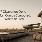 7 Okavango Delta Safari Camps Compared: Where to Stay