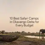 10 Best Safari Camps in Okavango Delta for Every Budget