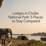 Lodges in Chobe National Park: 5 Places to Stay Compared