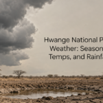 Hwange National Park Weather: Seasons, Temps, and Rainfall