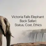 Victoria Falls Elephant Back Safari: Status, Cost, Ethics