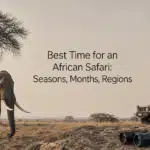 Best Time for an African Safari: Seasons, Months, Regions