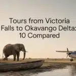 Tours from Victoria Falls to Okavango Delta: 10 Compared