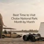 Best Time to Visit Chobe National Park: Month by Month
