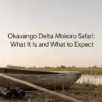 Okavango Delta Mokoro Safari: What It Is and What to Expect