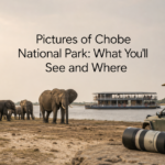 Pictures of Chobe National Park: What You'll See and Where