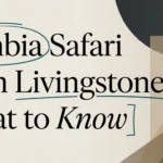 Zambia Safari from Livingstone: What to Know