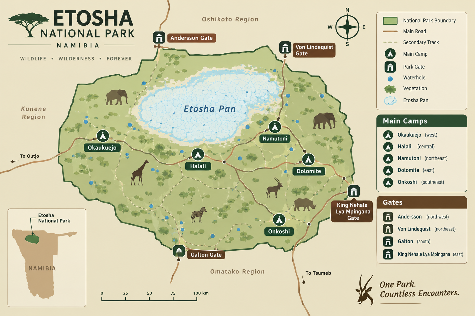  Map of Etosha National Park showing gates and camps