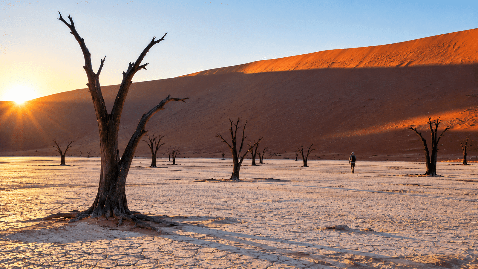 Dead trees at Deadvlei during a Namibia safari itinerary stop at Sossusvlei