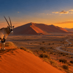 Namibia Safari Itinerary