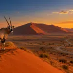 Namibia Safari Itinerary