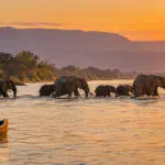 Lower Zambezi Safari