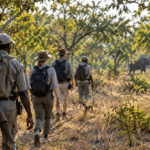 Zambia Walking Safari