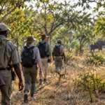 Zambia Walking Safari