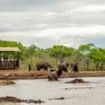 Botswana Safari from Victoria Falls
