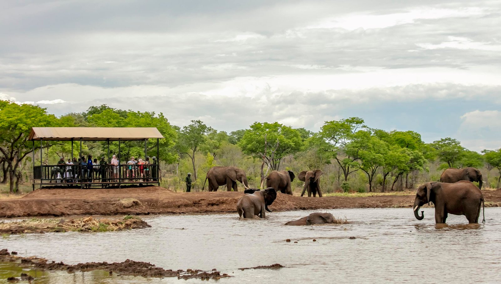 Botswana Safari from Victoria Falls: Complete Travel Guide Botswana Safari from Victoria Falls
